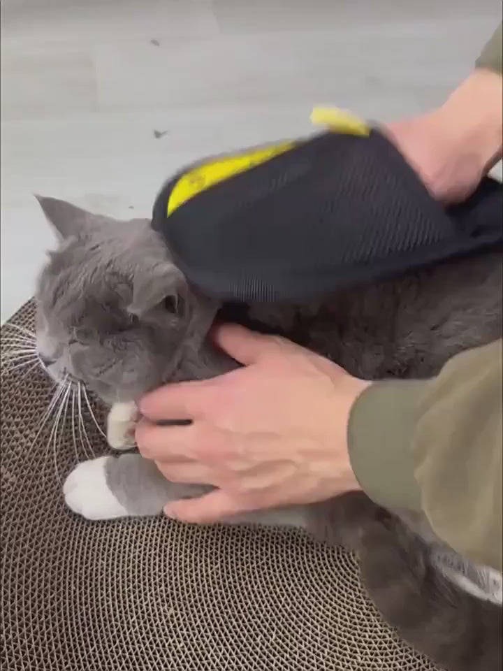 Cat Hair Cleaner Cat Hair Removal And Adsorption Artifact Hair Brush